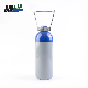 China Manufacturer ISO9809-3 2.67L 150bar Oxygen CO2 Argon Gas Cylinders for Sale