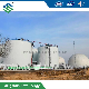 Organic Waste Treatment Anaerobic Digester Poultry Farm Machinery