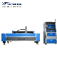 1500W-6000W Fiber Laser Cutting Machine for Metal Monolithic Packing Case