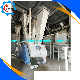 China Factory Supply Double Paddle Industrial Use Grains Powered Mixer