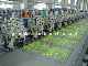 12 Heads Coiling Mixed Embroidery Machine (TLHP-612)