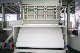 Automatic Nnonwoven Yanpeng Container 29*13*10m Non Woven Fabric Spunbond Machine