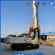  30m Depth Rotary Drilling Rig for Housing Foundation with High Efficiency