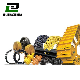 Ec460 Volvo Track Link Assembly Track Chain Assy Shoe for Excavator Ec210 Ec250 Ec300 Ec480 Crawler Parts manufacturer