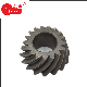 Module 6.9 and 17 Teeth Customized Gear for Oil Drilling Rig/ Construction Machinery/ Truck