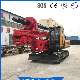 Factory Direct Crawler Diesel Pile Driver/Rig for House Building