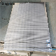 Market Stainless Steel 304 316 Profile Wire Wedge Wire Screen Filter Mesh