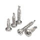 DIN7504n Stainless Steel Cross Recessed Drill Tail Pan Head Self Drilling Screws