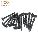  Manufacturer Drywall Screw/Self Tapping Screw/Self Drilling Screw/Wood Screw/Chipboard Screw/Roofing Screw/OEM/ODM