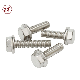 Stainless Steel 304 316 Hex Flange Bolt with Serrated Lock