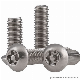 Torx Slot Anti-Theft Machine Screws