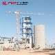 Construction Tower Crane Hot Selling 6 Ton Tc5013 for Sale manufacturer