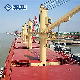  Marine Port Deck Mounted Crane Marine Pedestal Crane for Boat