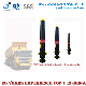 China Professional Manufacturer factory price brand Mining Dump Truck hydraulic Cylinder 10%off