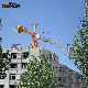  High-Quality Engineering Machinery Building Construction Crane Tower Crane Splicing Tower Crane