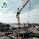  Promotional Custom Qtz63 5013 Tower Crane in Stock