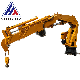 Manufacturer of Hydraulic Lift Steering Vehicle Mounted Cranes, Building Mobile Cranes