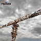 16 Ton Flat-Top Crane Demolishing Tower Crane