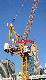 Jib 40m 5ton Luffing Crane