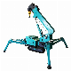 Factory Wholesale Small Mini Lifting Crawler Cranes Spider Crane manufacturer