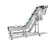 Factory Price 45 Degree Stainless Steel Bowl Type Elevator Combine with Vertical Packing Machine