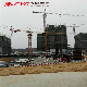  Selling Factory Direct Price Qtz63 (TC5013) Tower Crane