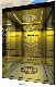  Spacious Luxurious CE Approved Passenger Elevator Lift Price