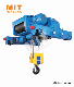  Double Girder Wire Rope Hoist (ML) Lifting Manufacturer