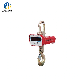  Electronic Mechanical Hanging Mini Electric Crane Look Straight Hook Scale