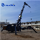 Lifting Capacity 3 Tons Black Spider Crane