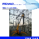  Spider Crawler Mini Electrical Diesel Gasoline Hydraulic Mobile Crane