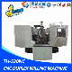 Bed Type Stainless Steel CNC Twin Head Milling Machine with CE manufacturer