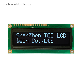 RoHS Square Winstar 1602 OLED Screen Parallel or Serial Mpu Interface 16X2 Character OLED Display