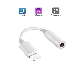 Audio Aux Adapter Lightning to 3.5mm Jack Headphones for iPhone