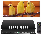  Custom Portrait 4K Video Wall Controller, HDMI TV Wall Controller, Seamless HDMI Splitter