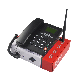 Muti-Languages for American Countries for GSM SMS FM Radio Cordless Telephone