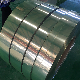  Carbon/Inconel/Alloy/Aluminum/Galvanized/Stainless/Prepainted/Zinc Coated/Galvalume Coil Strip