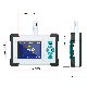 Fully Customizable CO2 Monitor Controller Meter for Greenhouse and Grow Room