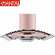 60cm 90cm Manufacturer Kitchen Cooker Hood Wall Mounted Automatic Cleaning Extractor Fan Stainless Kitchen Exhaust Range Hood