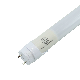 Electric Ballast Compatible T8 Tube Light Ce RoHS Approved