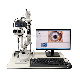  Best Selling China Ophthalmology Slit Lamp with Video Record Function