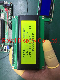 Big 20X2 Character LCD Display Module LCD for Industrial/Equipment/Medical (RYP2002B)