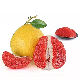  Fresh Chinese Pomelo Wholesale Citrus Fruit Grapefruit Common