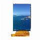 5 Inch Mobile LCD Screen Module and Touch Screen