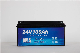 Rechargeable Lithium Battery LiFePO4 Battery Pack 12V 24V 48V Li Ion Li-ion/Lpf Lithium