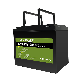 Factory Deep Cycle Solar UPS Rechargeable Battery 12V 24V 100ah 200ah LiFePO4 Lithium Battery for Solar System/UPS