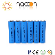 High Capacity Li-ion Naccon or OEM 18650 1300mAh 3.7V Rechargeable Battery 18650-13L 1300mAh manufacturer