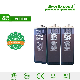  Everexceed Rechargeable 2V 800ah Opzs Tubular Flooded Battery 20 Years Long Life for Telecom Solar System