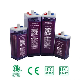 Everexceed Opzs Lead Acid Flooded Battery Solar Battery 2V 265ah, Deep Cycle Tubular Batteries