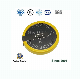 Solder Tab (yellow) Henli Max Cr2450 Primary 3V Lithium Button Cell Coin Battery for Remote Control, Watch, and So on.